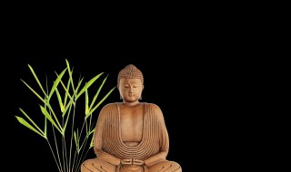 关于带有禅意的唯美句子 意境深远感叹人生的美句摘录