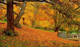 金秋送爽的唯美句子 秋天风景宜人的描写摘录