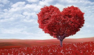 表达深爱的唯美句子 深情款款表达爱意的句子摘抄