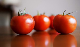 西红柿炒蛋用英语怎么说 西红柿炒蛋的英语是什么