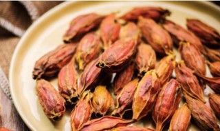 栀子泡茶的作用与功效 栀子泡茶的作用与功效是什么