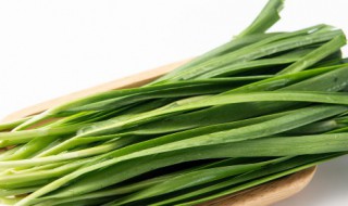 韭菜的营养价值及韭菜的功效作用 韭菜的营养以及益处