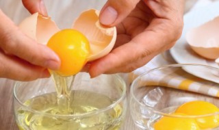 富含维生素d的食物有哪些 富含维生素d的食物具体有哪些