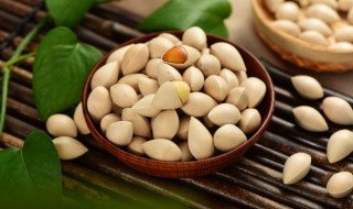 白果的功效与作用及食用禁忌 白果的优点和缺点