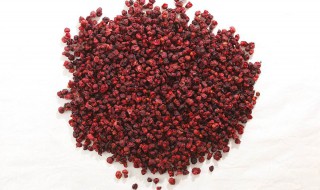 五味子的六大功效与作用 五味子的六大功效与作用有哪些