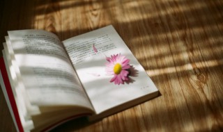 情人节告白句子 情人节告白句子推荐