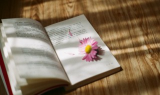 关于爱孩子的经典句子 关于爱孩子的经典句子有什么