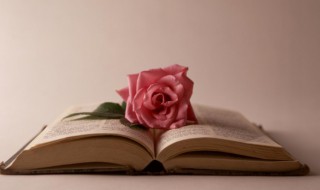 描写小孩外貌的句子 描写小孩外貌的句子有哪些