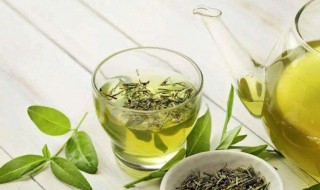 常喝绿茶的好处与坏处有哪些 常喝绿茶的好处介绍