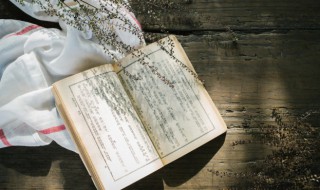 幼儿园温馨时光的句子 幼儿园温馨时光的句子介绍