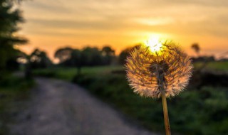 微商的早安正能量句子 微商的早安正能量句子分享