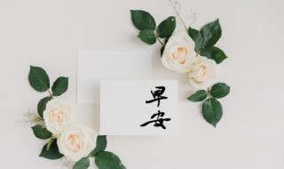 清晨寄语激励唯美的句子 清晨寄语激励唯美的句子精选