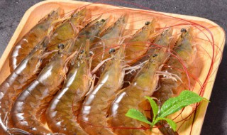 盐水虾做法 盐水虾怎么做