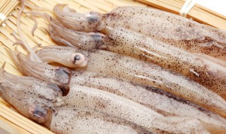 鱿鱼仔怎么处理干净 如何处理鱿鱼仔