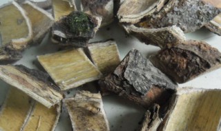 合欢皮的功效与作用有什么呢 合欢皮的功效与作用有哪些