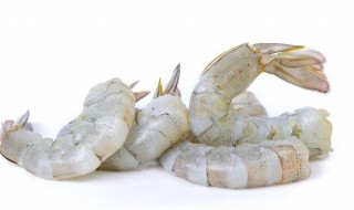 虾的最简单做法 虾的烹饪方法