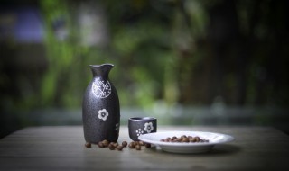 跟诗酒趁年华配的句子 跟诗酒趁年华配的句子精选