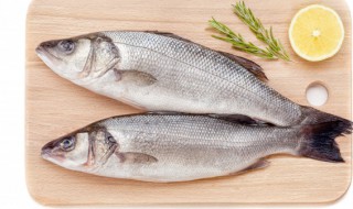 红烧鲈鱼做法 红烧鲈鱼的烹饪方法