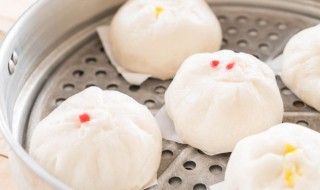 蒸大包子需要多长时间 制作蒸包子的时间