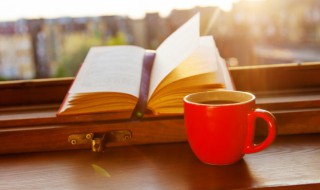 亲亲我的妈妈主要内容 亲亲我的妈妈主要内容是什么