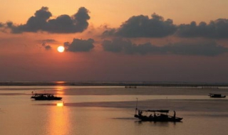 江苏高邮最美生态湿地——高邮湖芦苇荡湿地公园