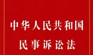 民事诉讼法律关系的主体 它的概念