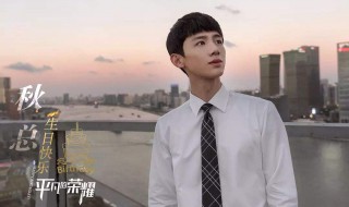 平凡的荣耀第四集的插曲是什么 平凡的荣耀简介