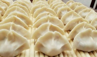 白菜包饺子的方法大全 家常做法