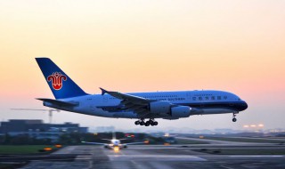 赶飞机迟到补救方法 有什么办法