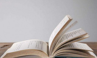 他可能没有那么爱你小说简介 这部书内容介绍