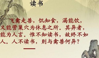 关于爱学习的成语 关于爱学习的成语有哪些