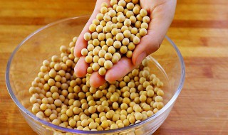 黄豆粉皮的制作方法 黄豆粉皮的制作方法简述