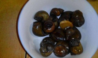 怎么做抓河螺神器 方法告诉你