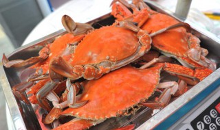 广东正确煮螃蟹方法 有什么实用的技巧