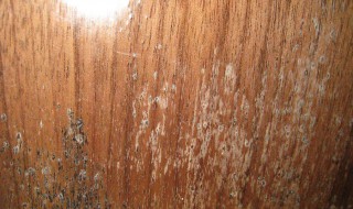 木制家具容易发霉怎么处理 木制家具容易发霉处理方法介绍