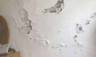 墙壁上的石灰怎么处理 墙壁上的石灰怎么清洗