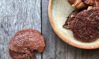 灵芝是年份越久功效越好吗 灵芝是年份越久功效越好对吗