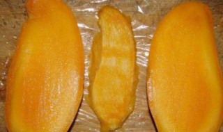 芒果种子怎么处理发芽 如何让种子发芽