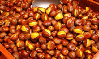 炒栗子快速剥皮方法 炒栗子快速剥皮方法简述