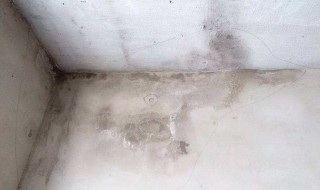 墙角发霉烂了怎么处理 处理墙角发霉小技巧