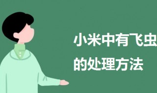 小米中有飞虫怎么处理 一起来了解一下