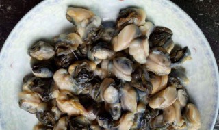 大田螺怎么快速处理干净 大田螺处理干净的方法