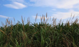 一场秋雨一场寒的说说 表达一场秋雨一场寒的句子