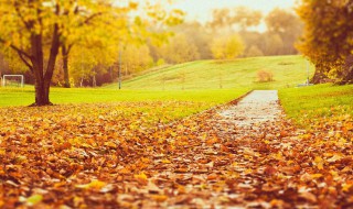 秋天伤感的句子 秋天伤感的句子有什么