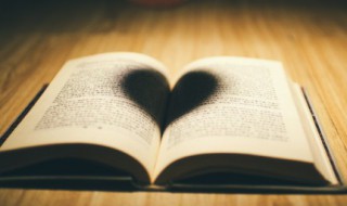 被蚊子咬的幽默句子 被蚊子咬的幽默句子推荐