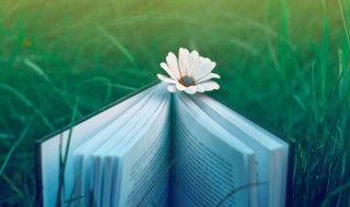 开心说说心情句子唯美 开心说说心情句子唯美有什么