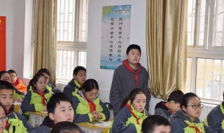 小姐夫人赏桂花打一生肖 答案是虎