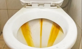 马桶壁污垢怎么去除 这些方法都可以