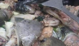 甲鱼炖鸡的做法 甲鱼炖鸡如何做