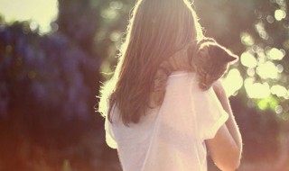 情侣名英文带翻译 这些名字都好听